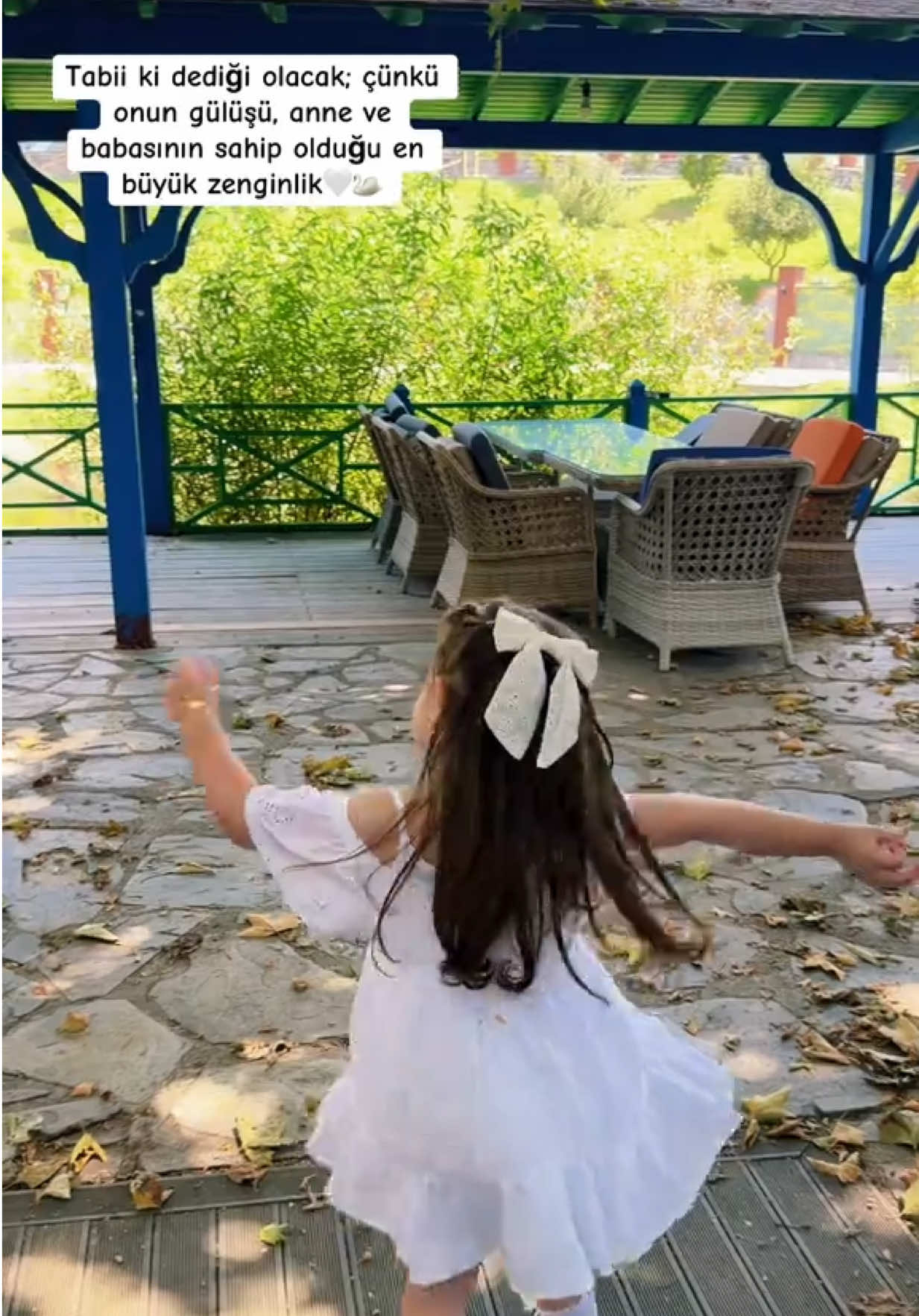@🕊️
