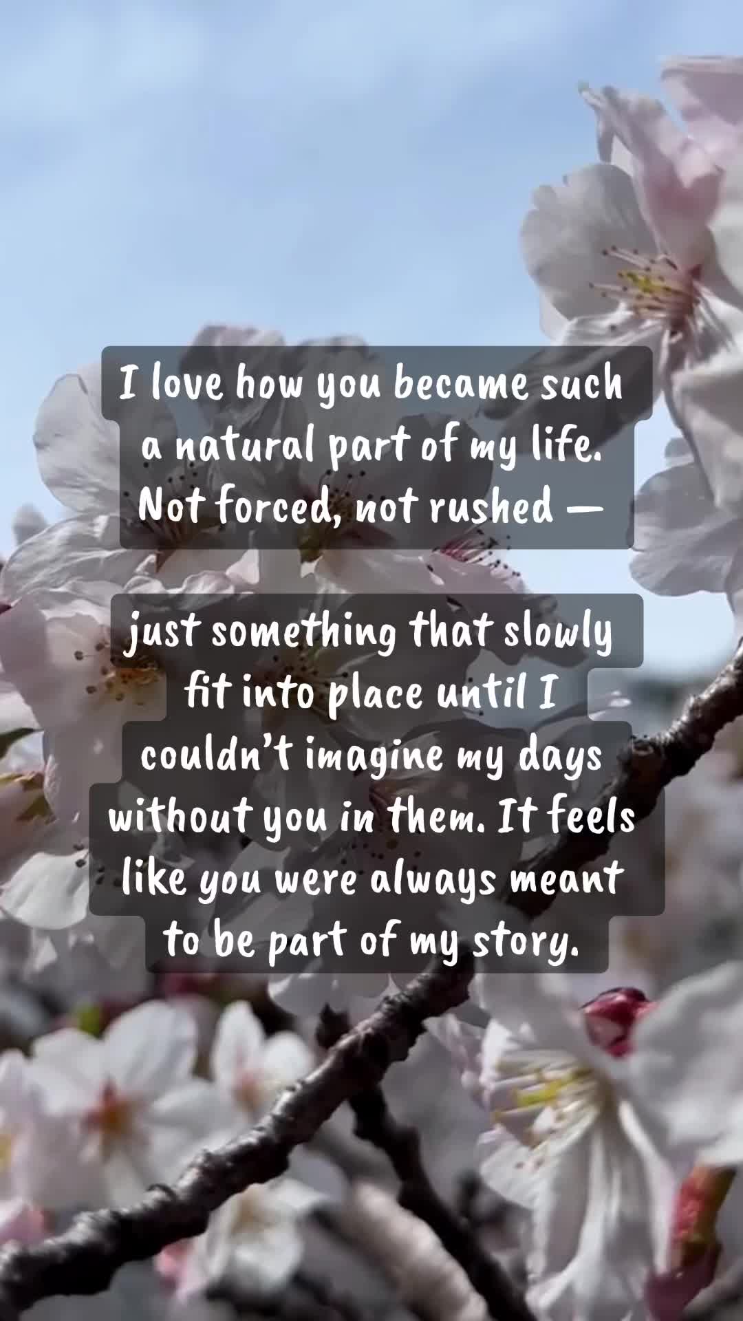 @a.forever.lovestory
