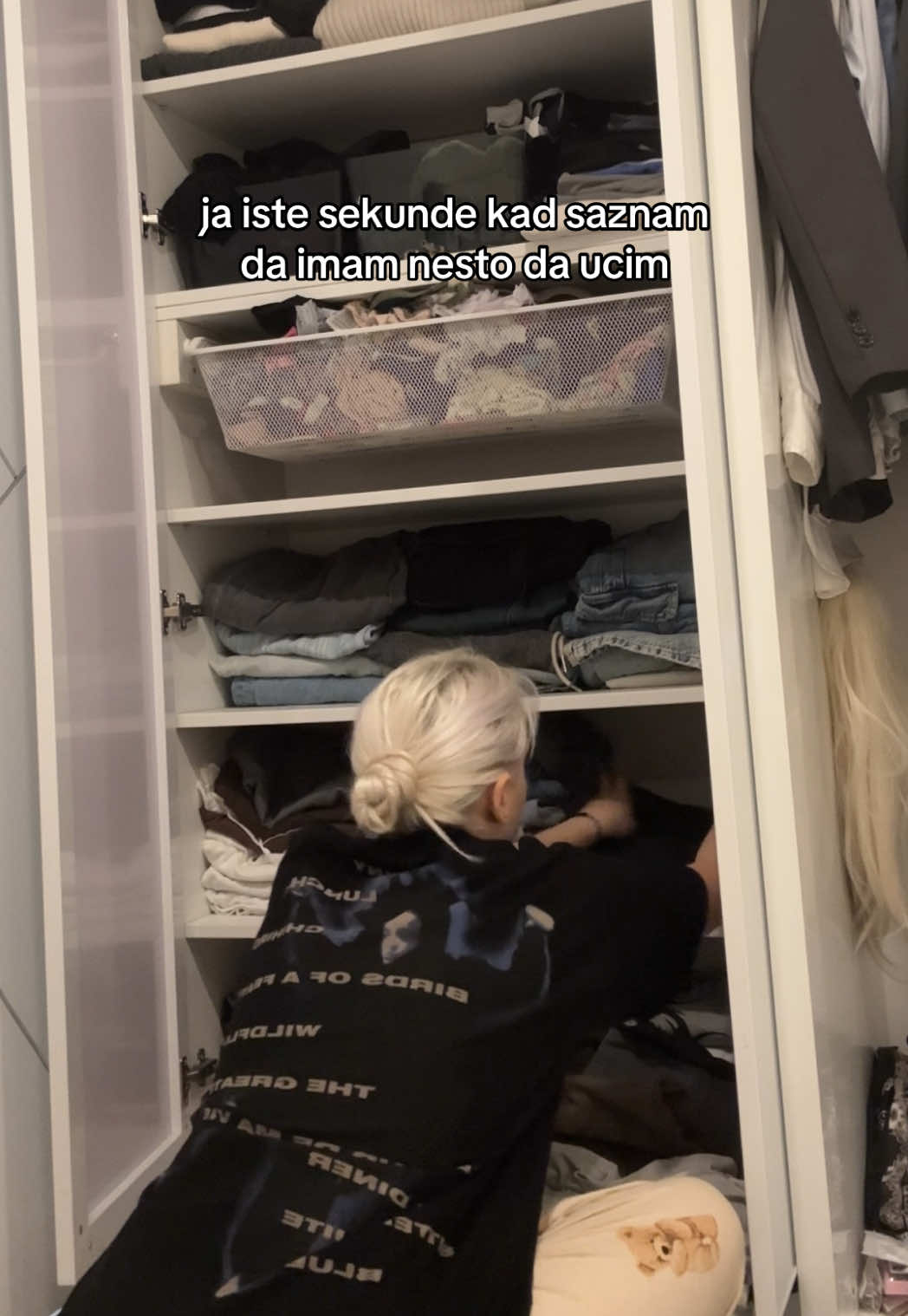 @larisa