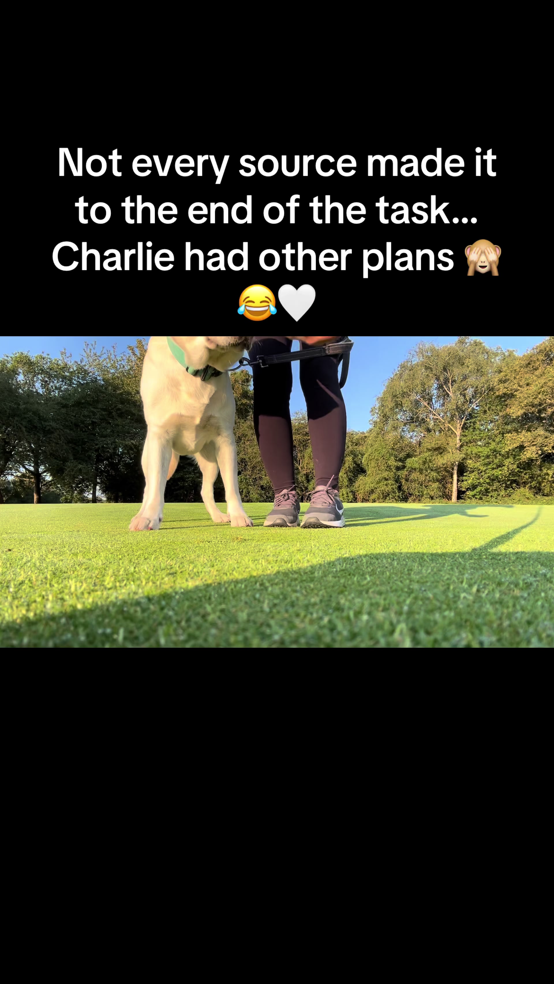 @Teddy 💕Charlie🐾💙