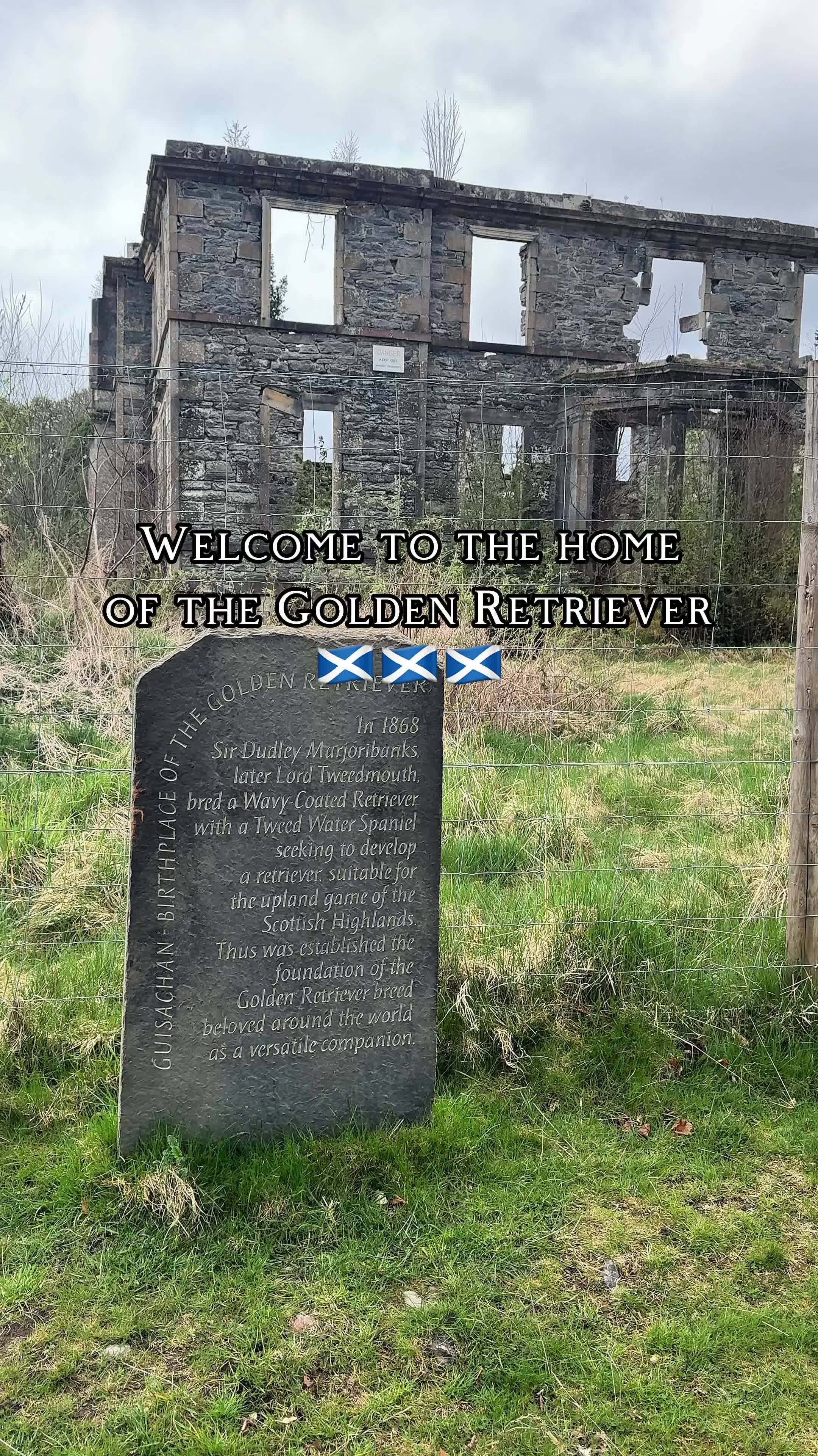 @Emily In Scotland