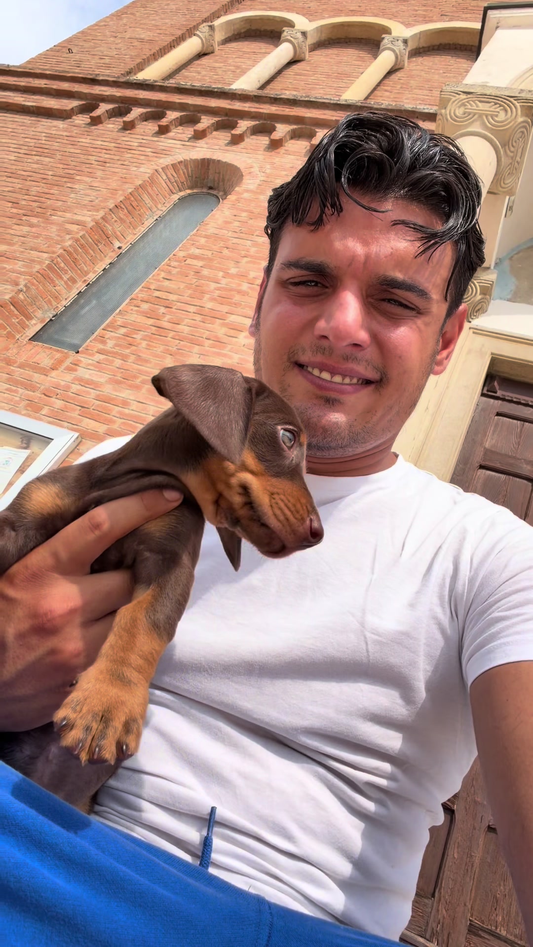 @DonatoBulldogFranceseCuccioli