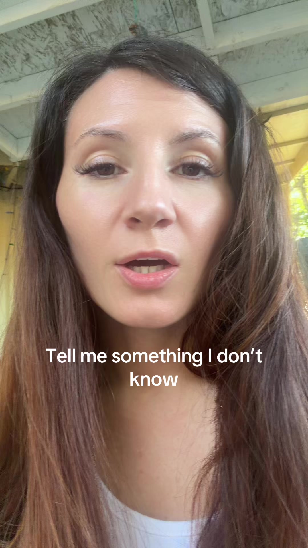 @Taylor Toothtales 🦷