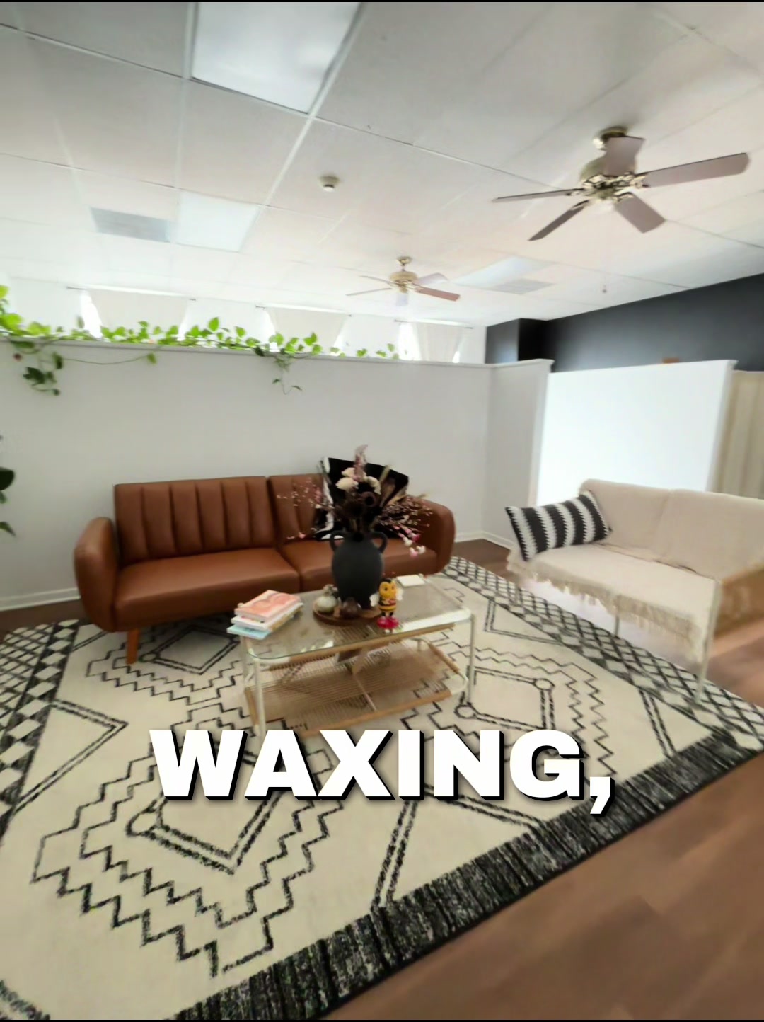 @Ari - Lash | Wax | Sculpt