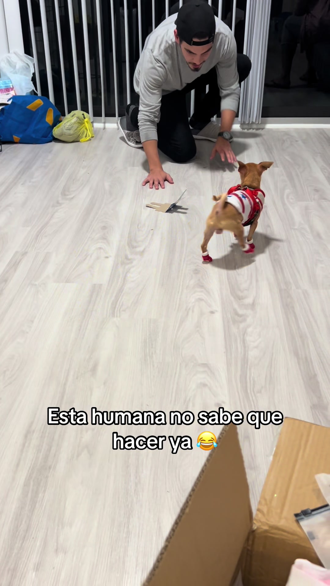 @Gloria Hernandez
