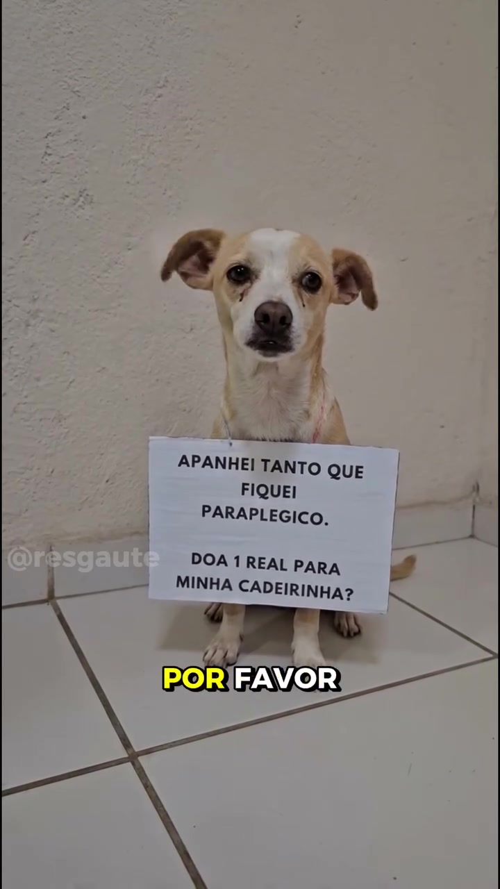 @ABRIGO DA VÓ