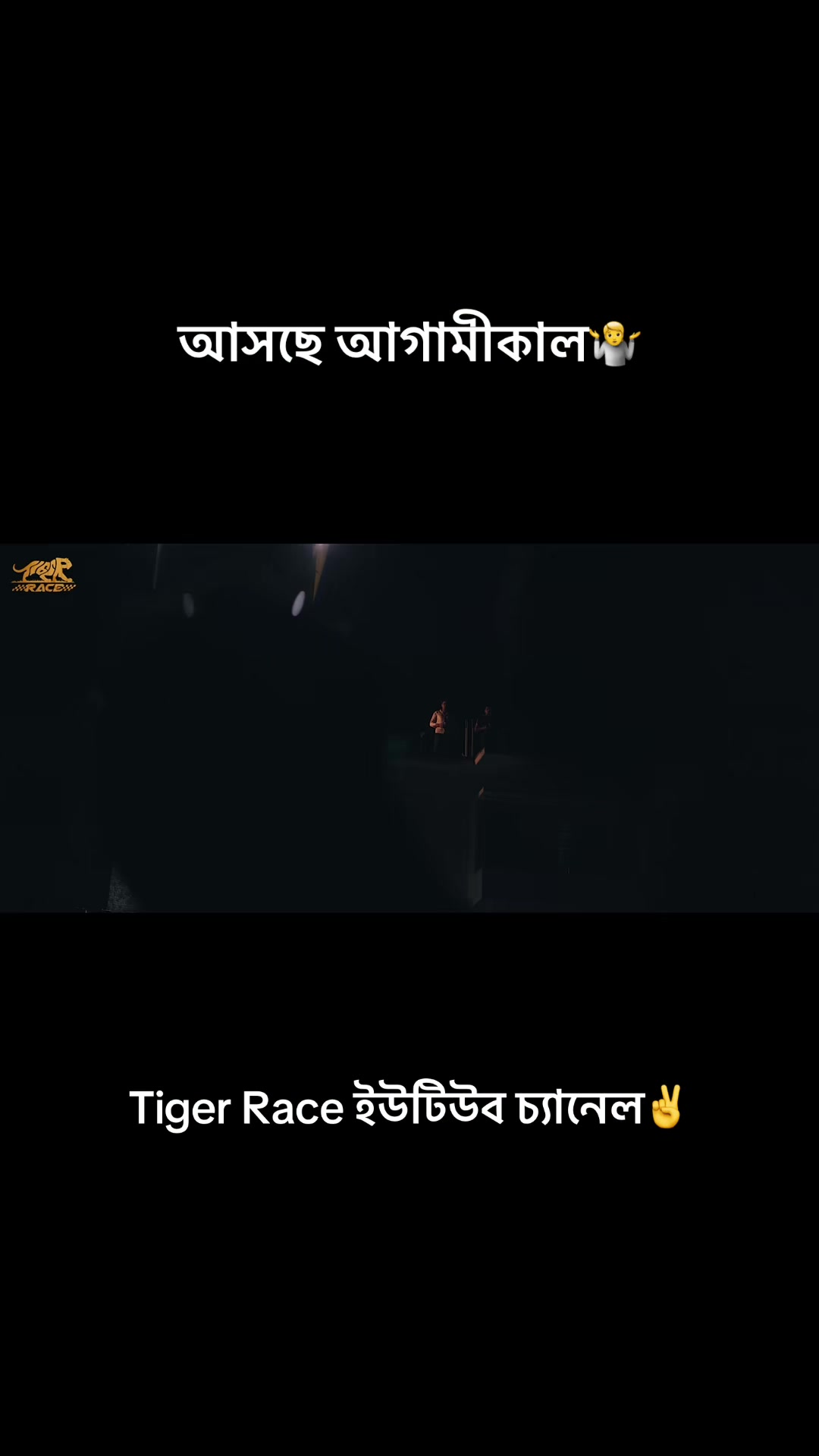 @Tiger Race