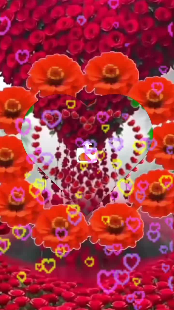 @Motinha