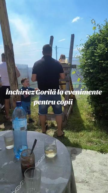 @Ilie Bălcuță