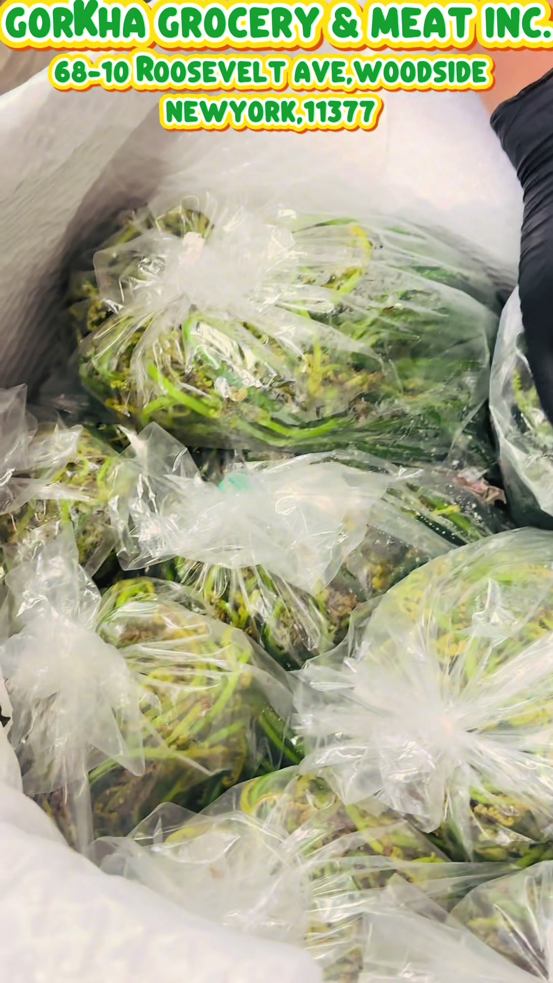 @gorkhagroceryaneatinc