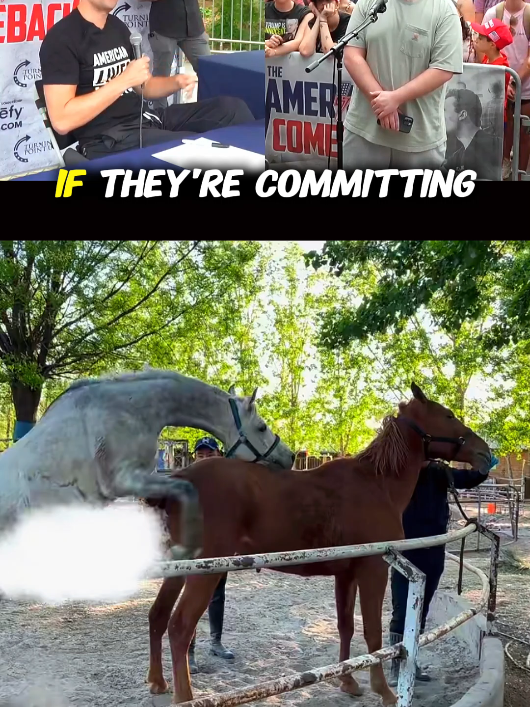 @horselife015
