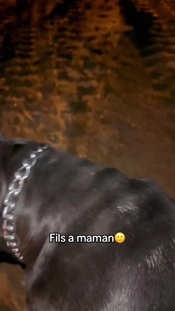 @الخلوية 🚩🥱🇩🇿