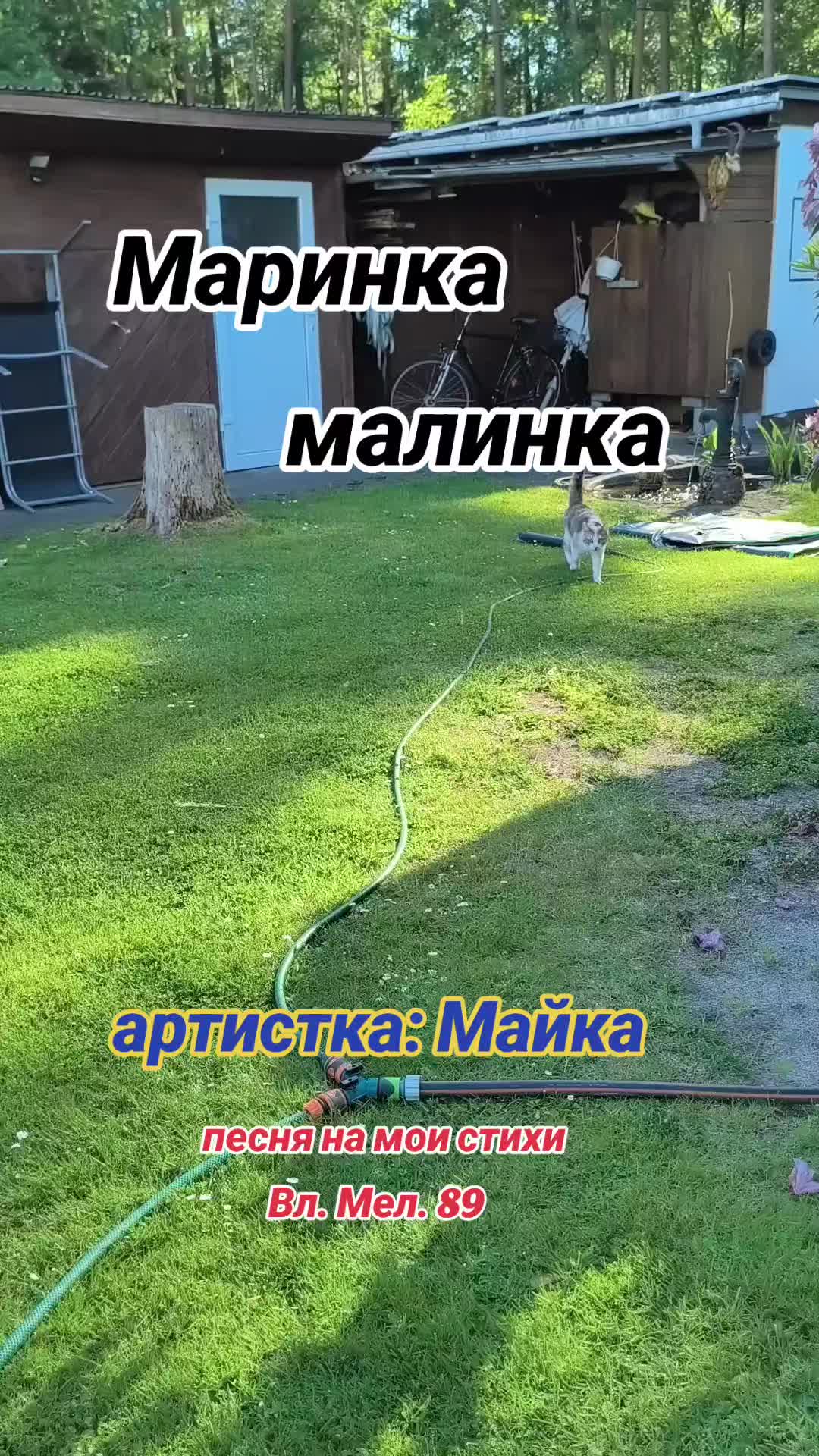 @Вл.Мел.89 🎶 Wladimir. M
