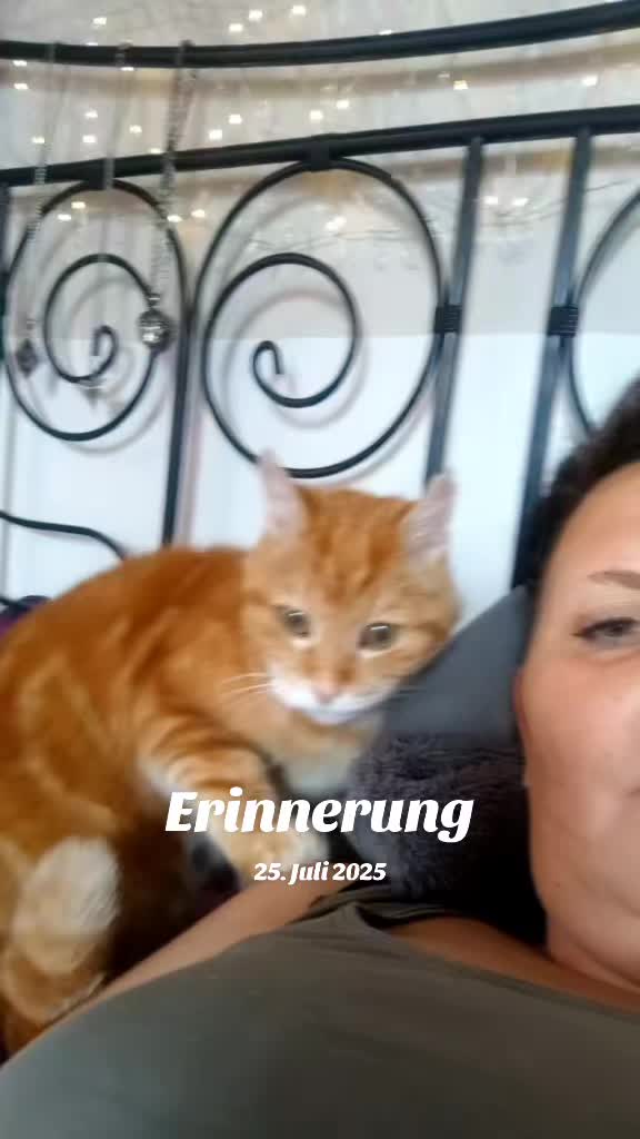 @Ossitussi1.0