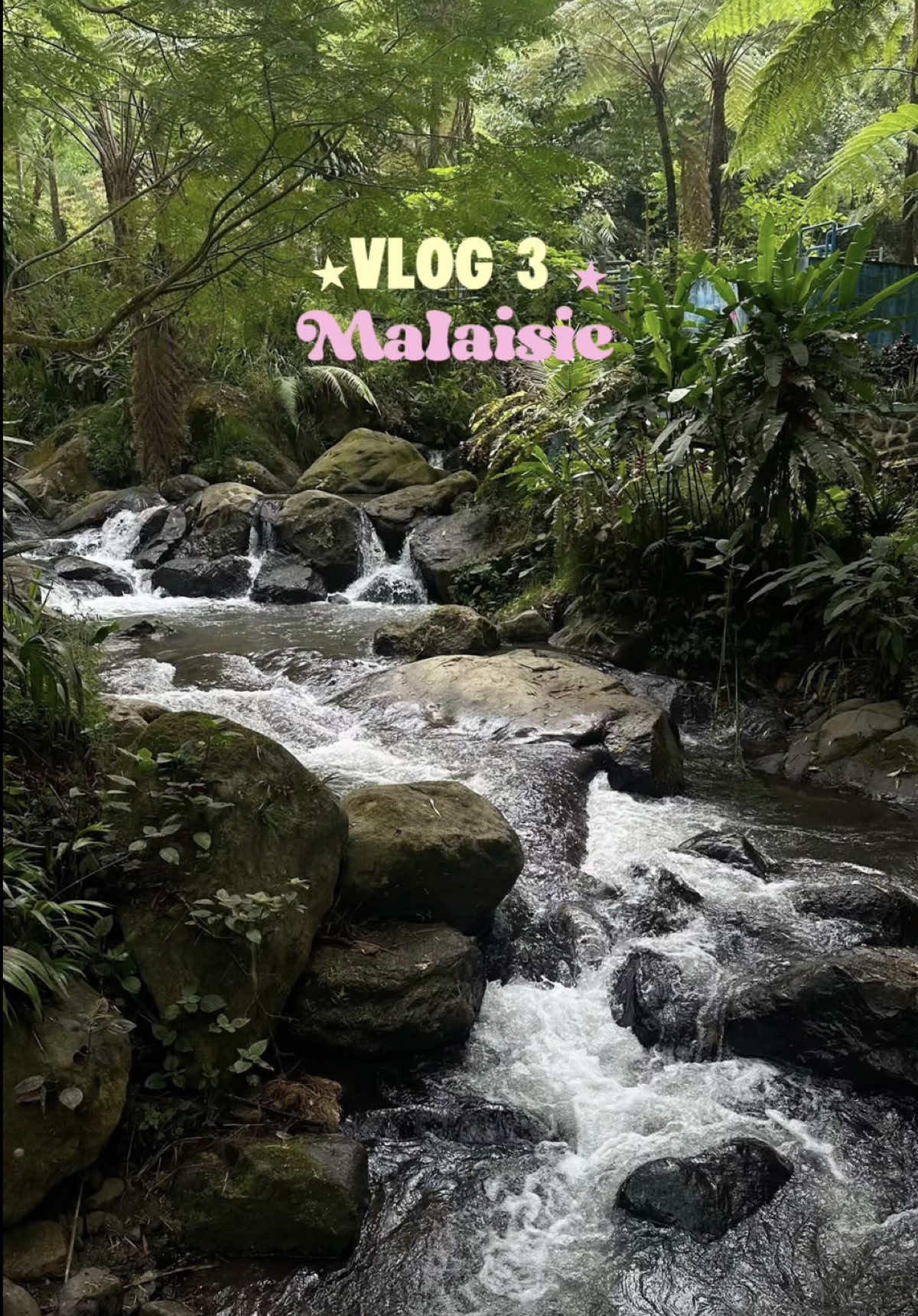 @Laura 🥥