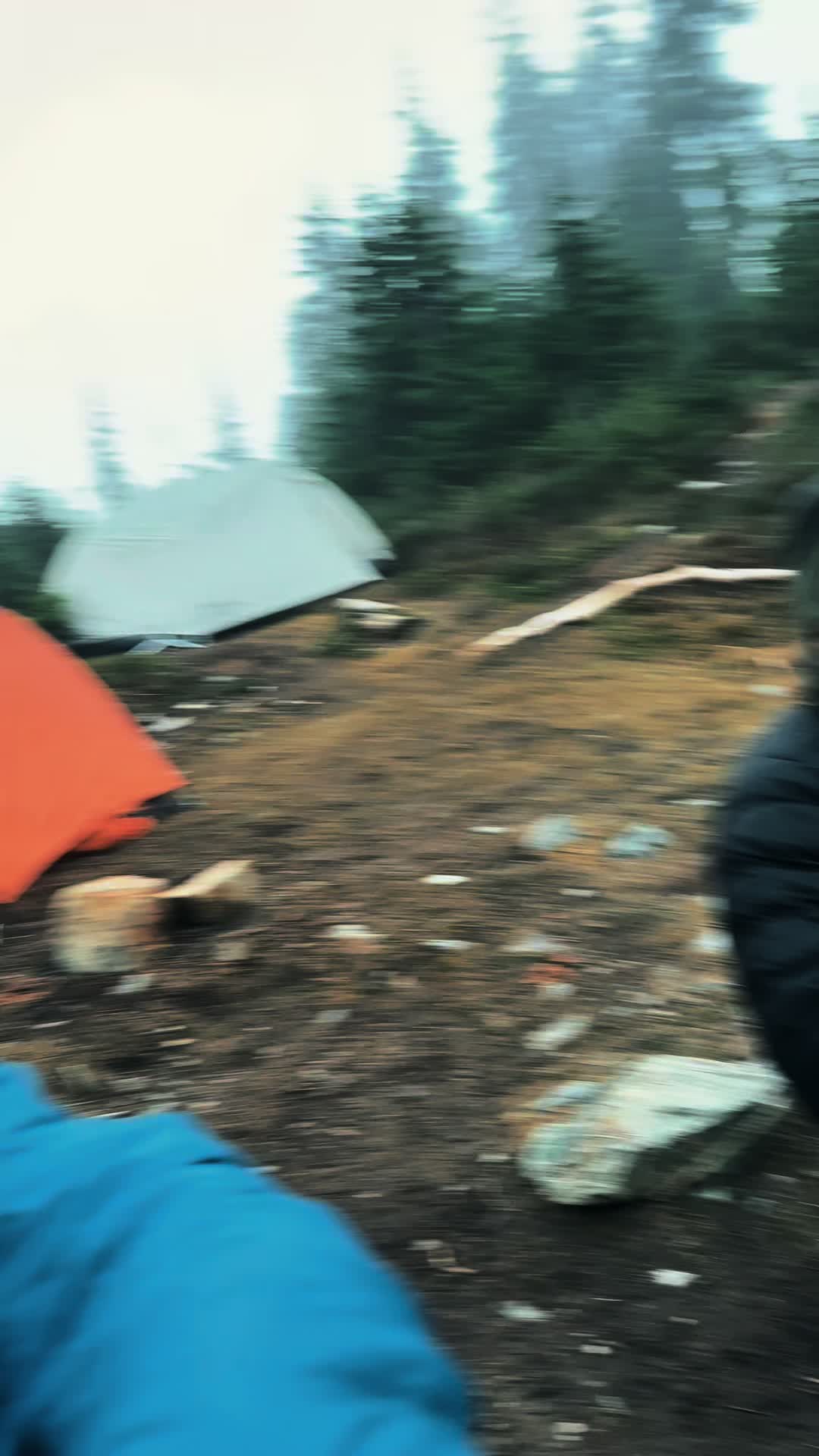 @🌲 James | WA 🏔️