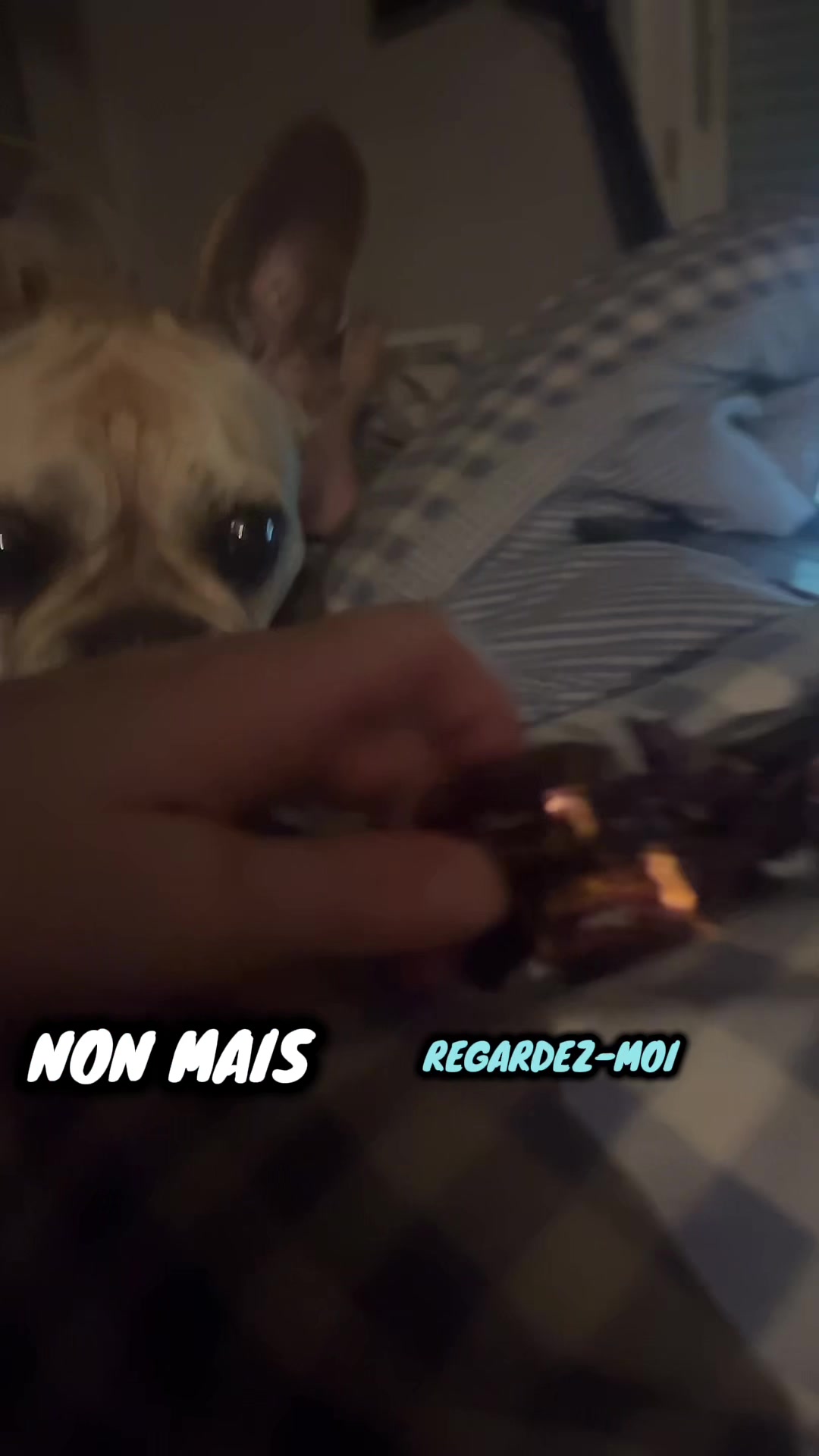 @les aventures de Nina