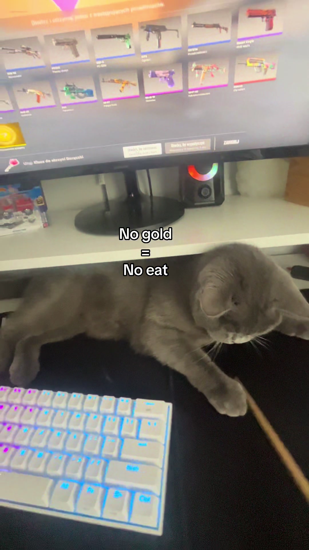 @Grafi🐱