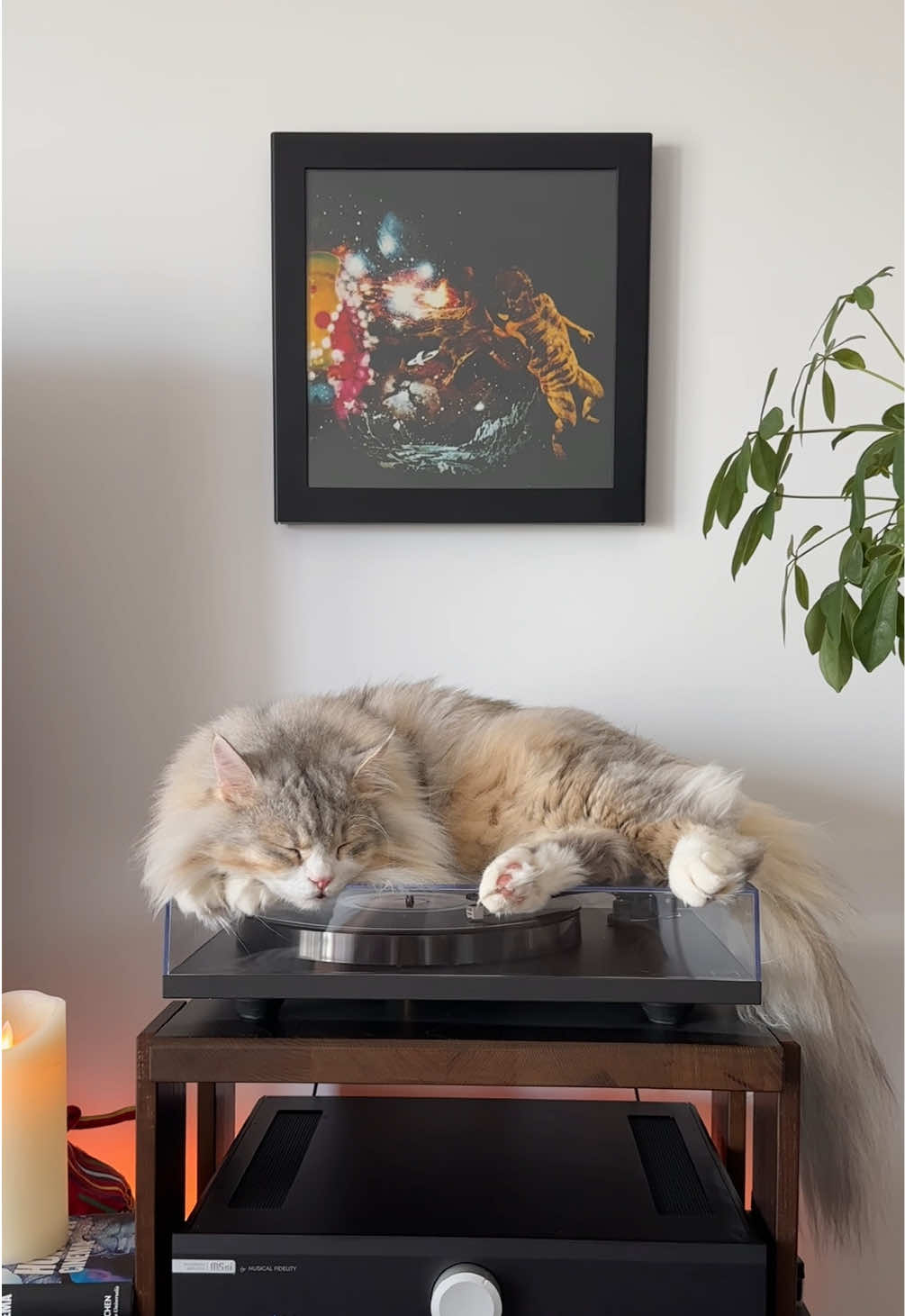 @Leon The Vinyl Cat