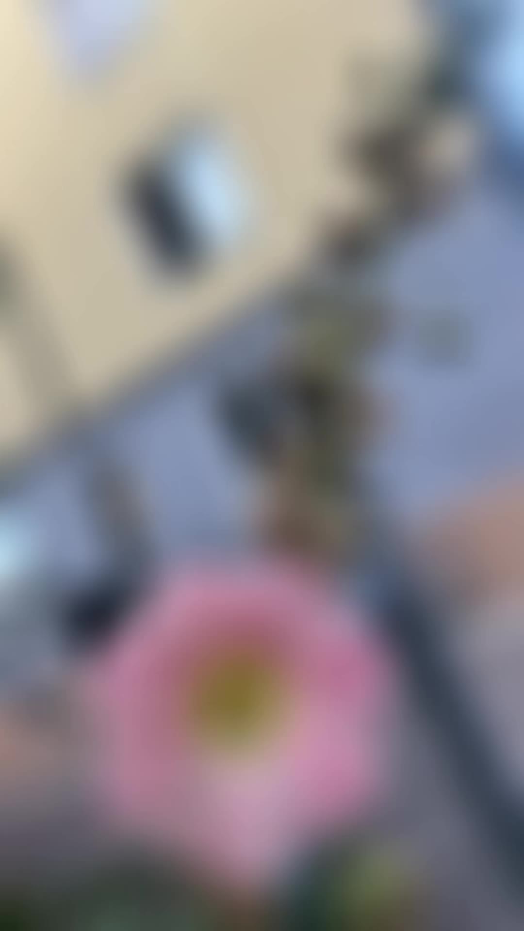 @S🎀