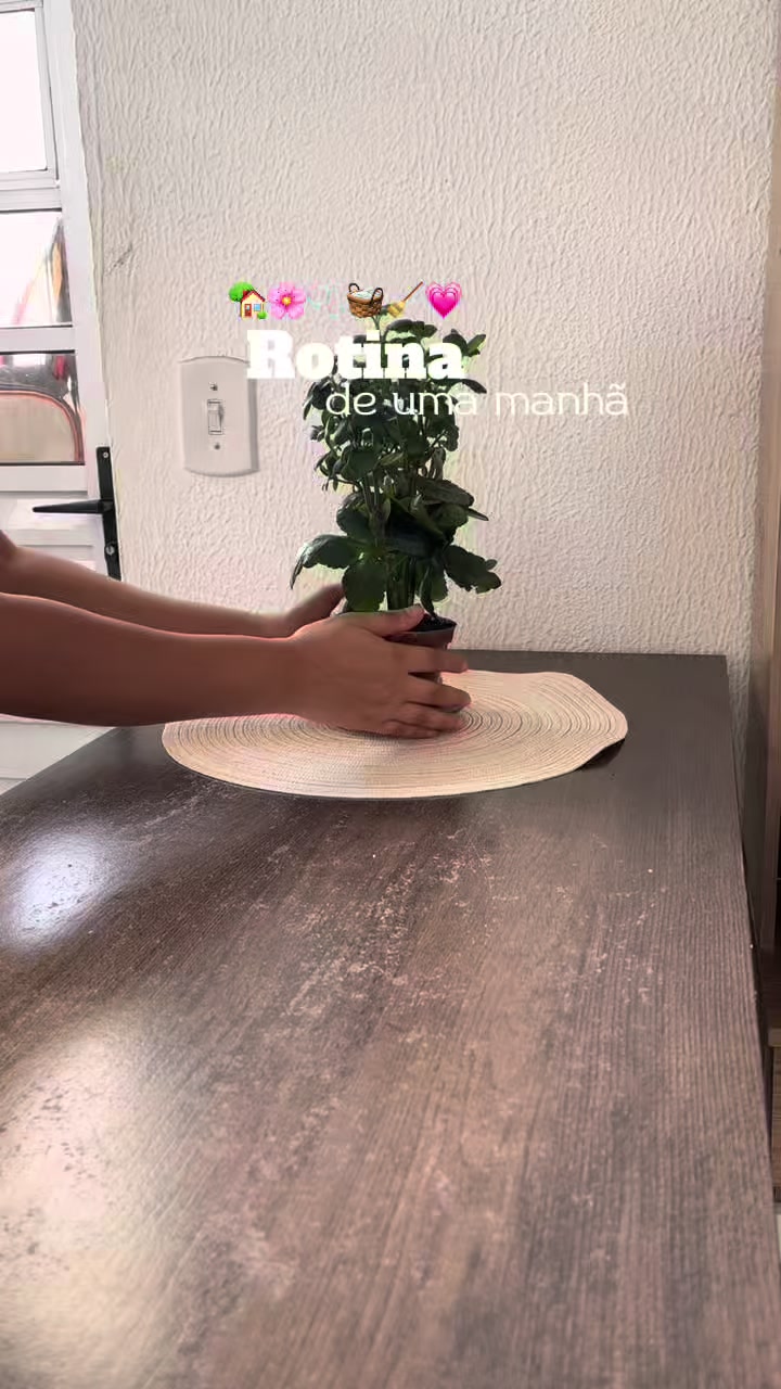 @Dany | Casa & Rotina
