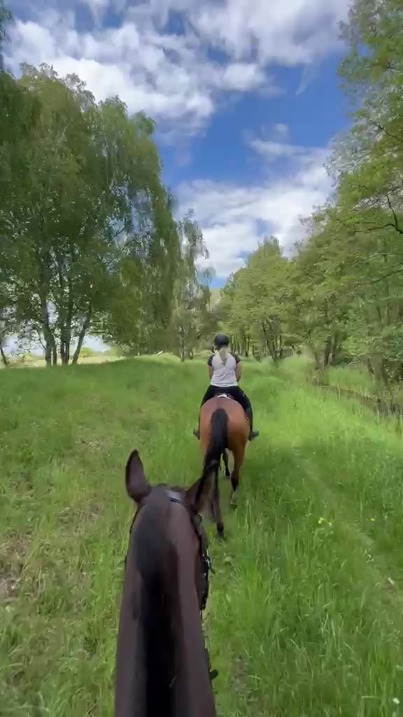 @Dunique