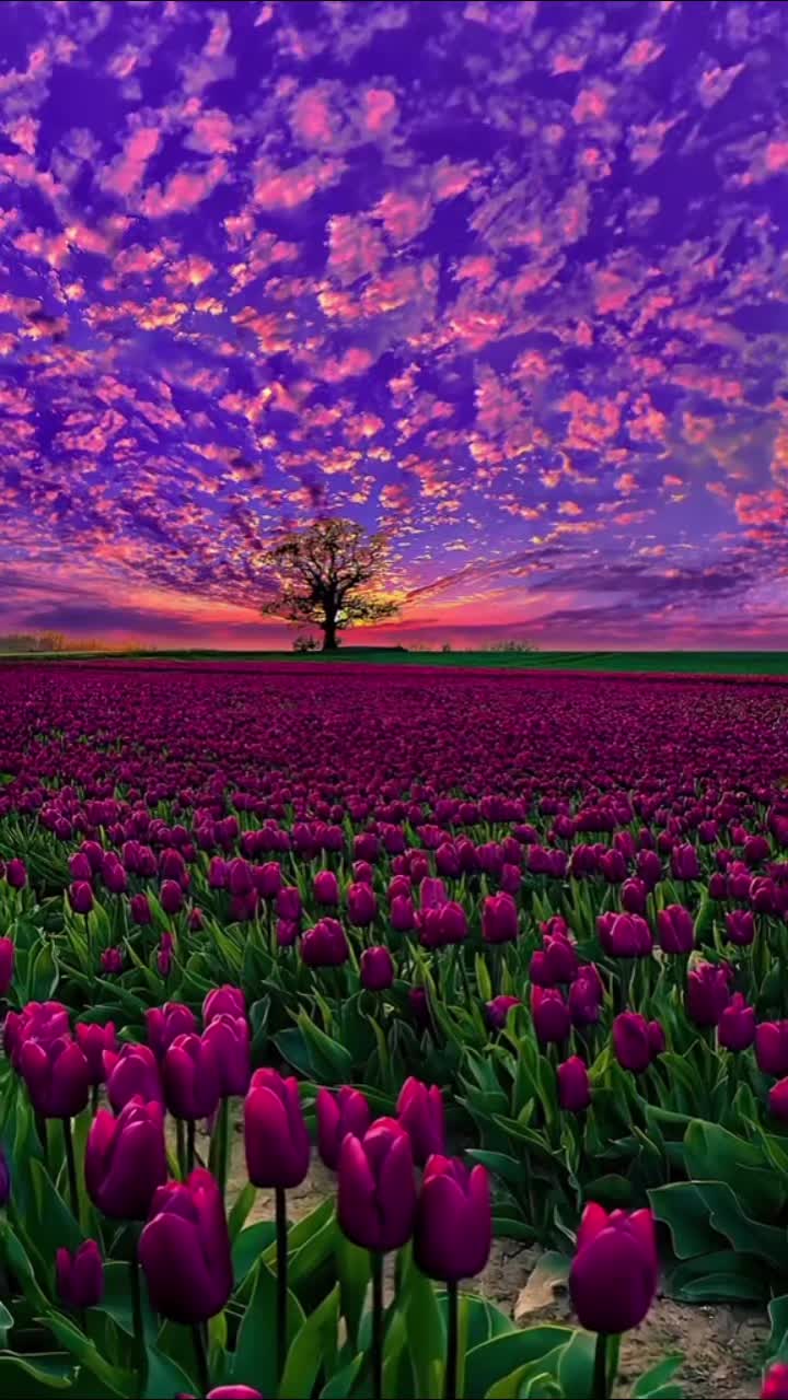 @💐RukSi😊💐