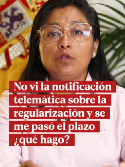 @Leonor Jami