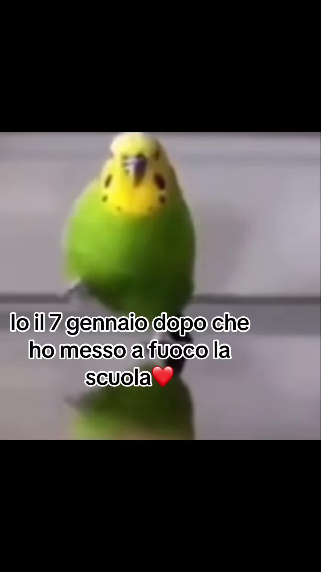 @𝓪𝓷𝓰𝓮