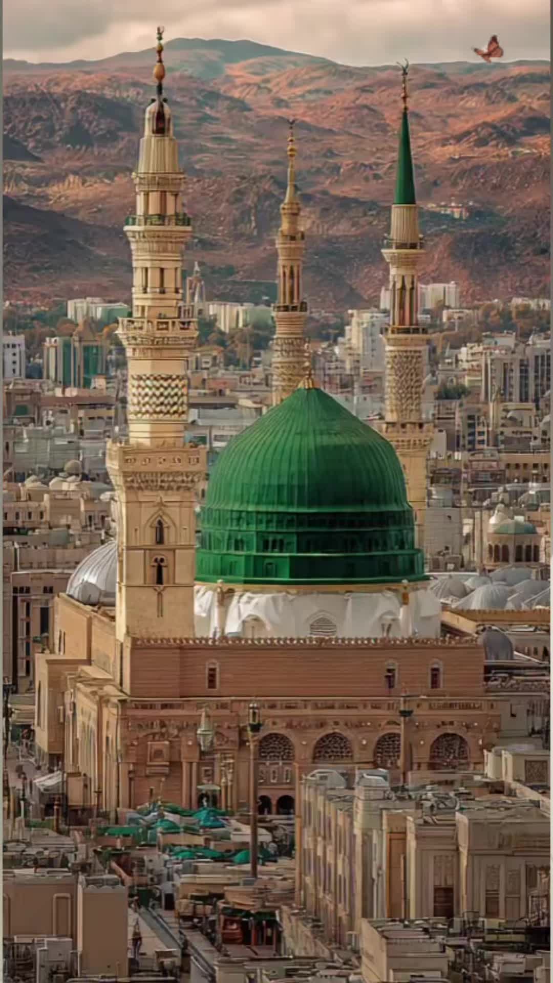 @Islamic Land