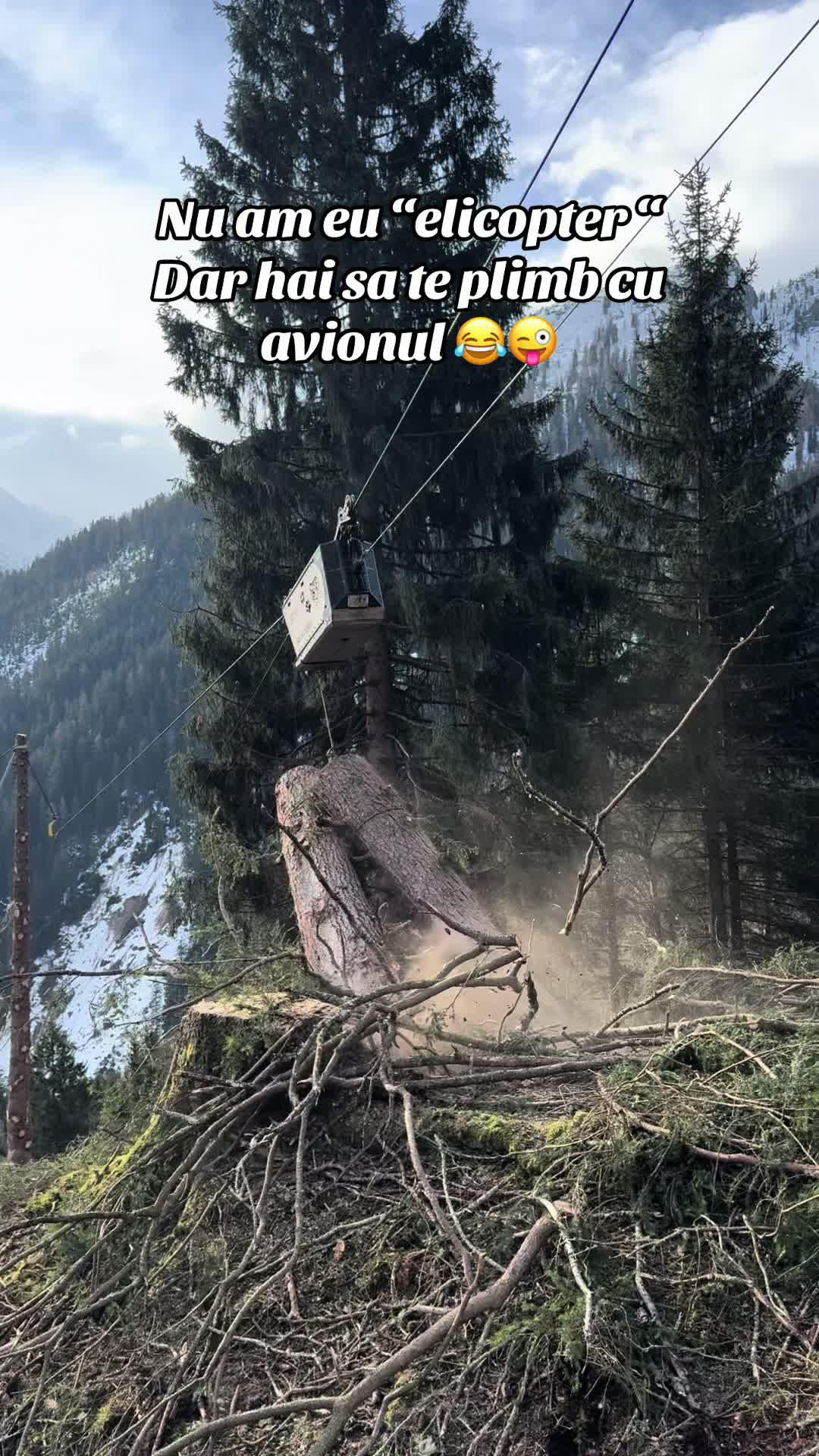 @Nicu Văsieș