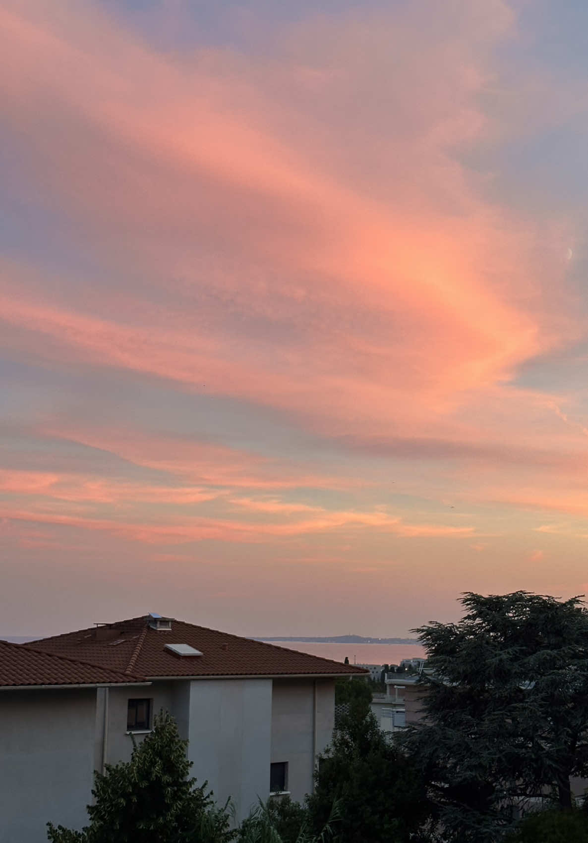 @Adine 🌙🧡
