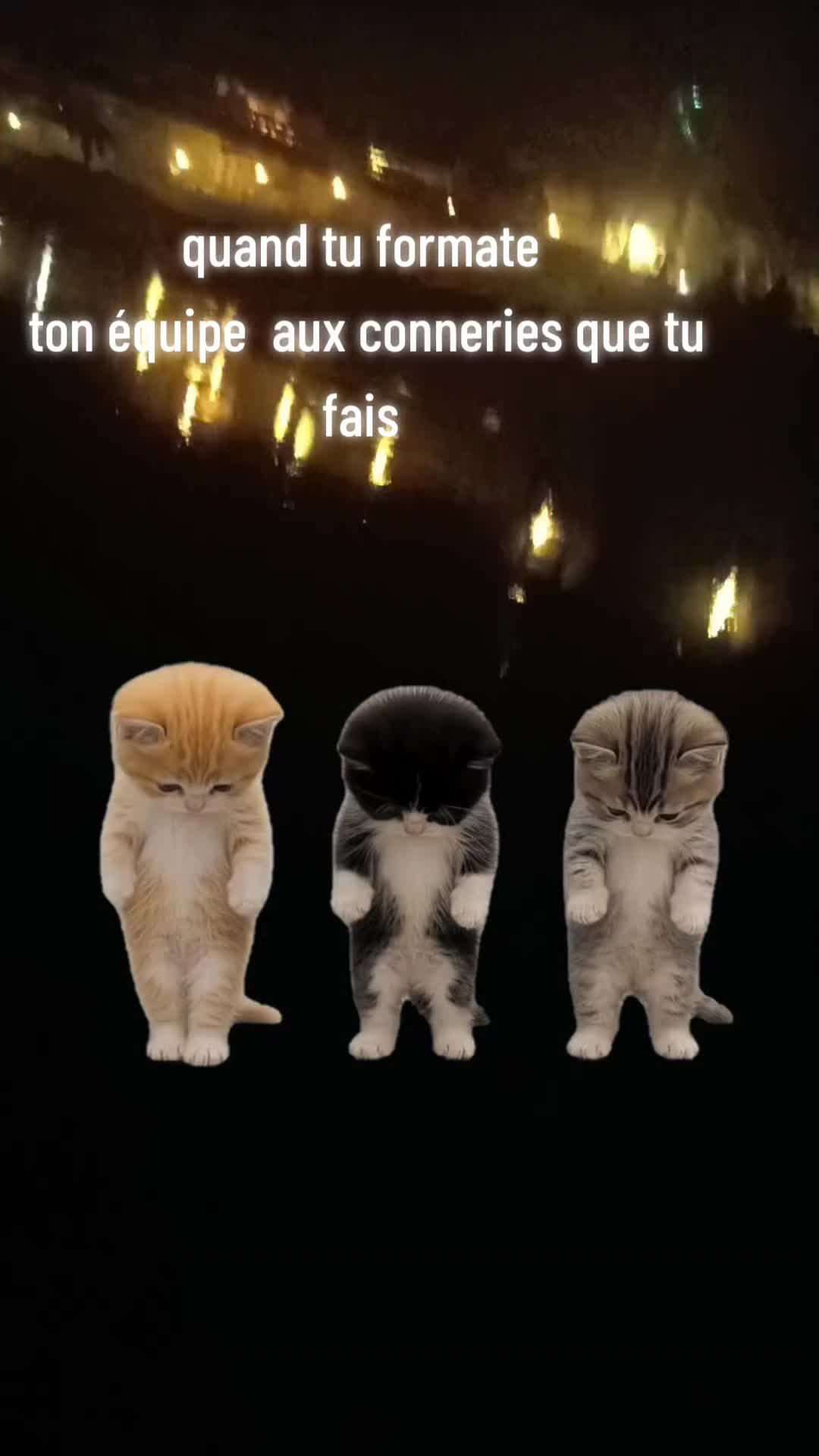 @💕Lumière✨divine💕
