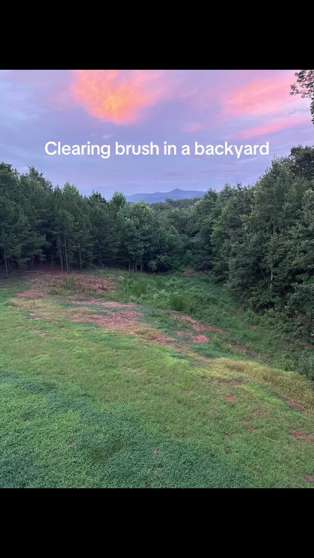 @TNE Lawn and Trimming