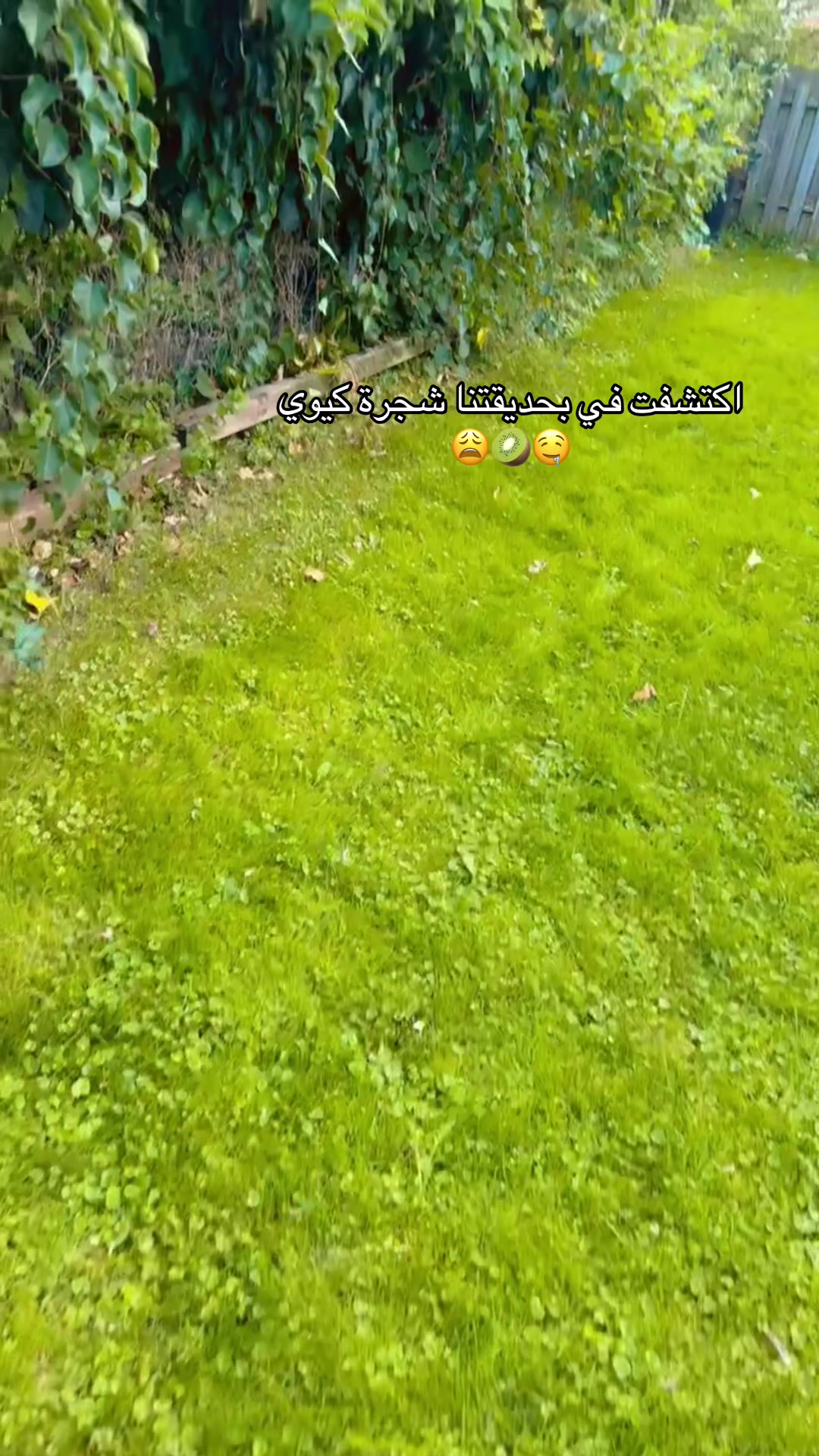 @إيلــــــ ٰ ٌ🎀 ٌ ٰ ــــين