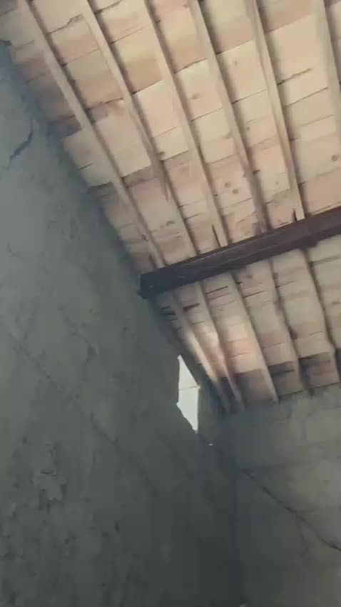 @❣️Khan🇵🇰6830