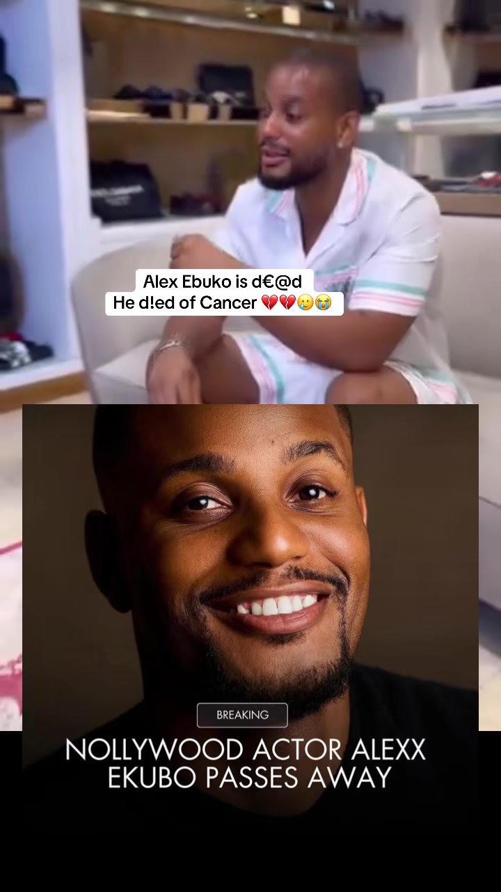 @ammagistdaily