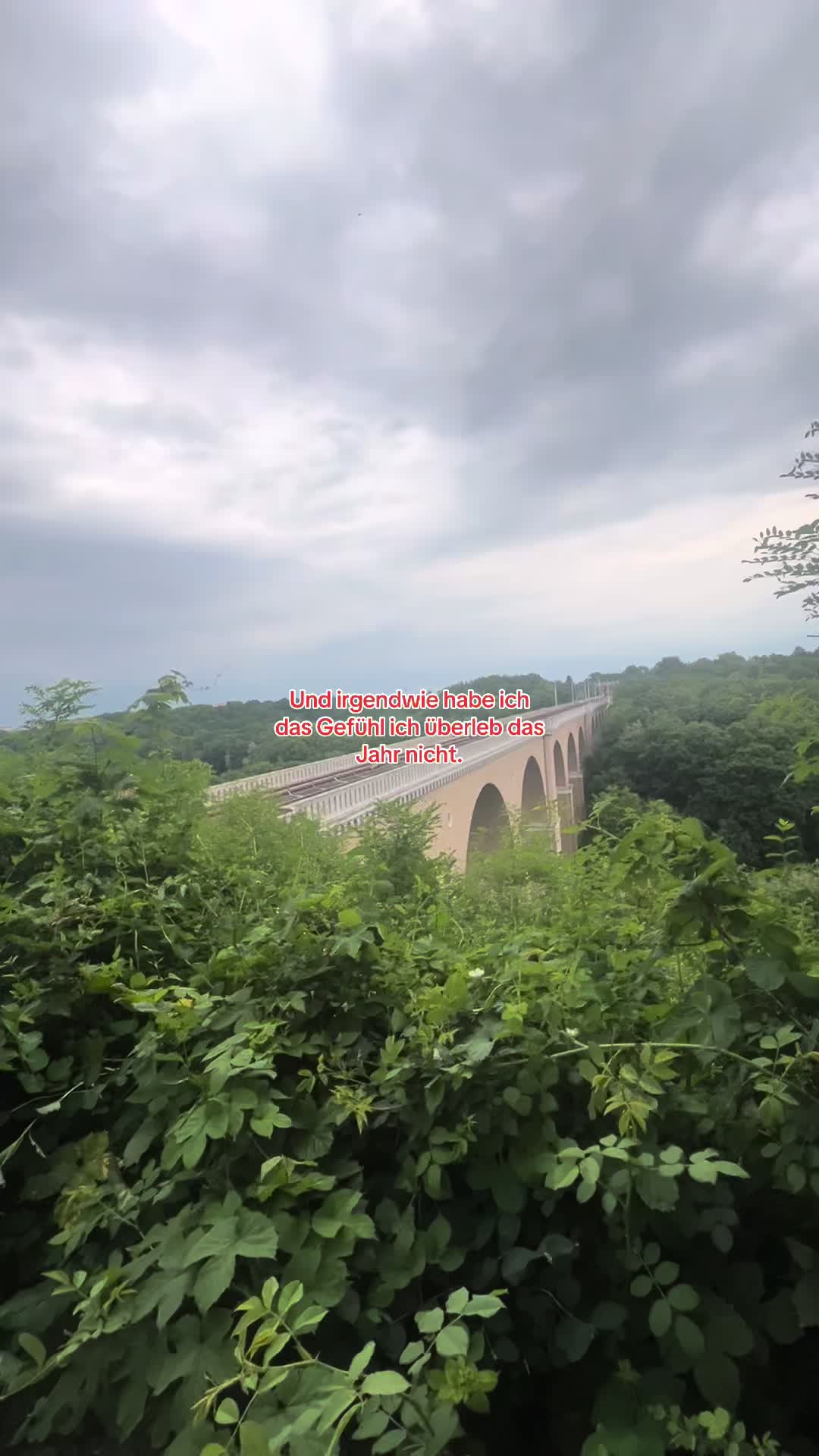 @StreifeLive110