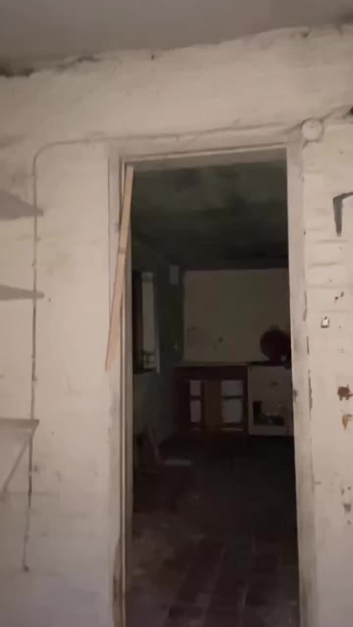 @user362690628