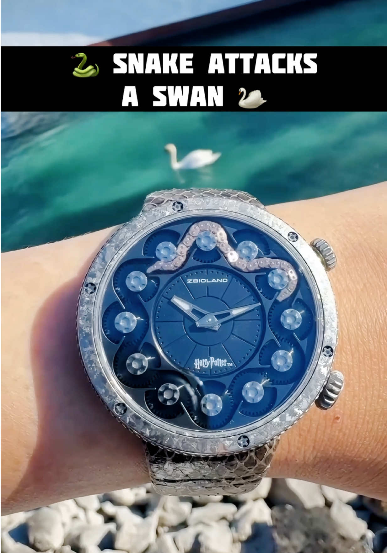 @watch_time_traveler