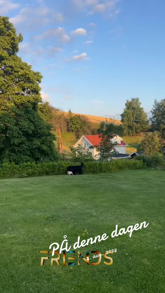 @mettemyhrebakken