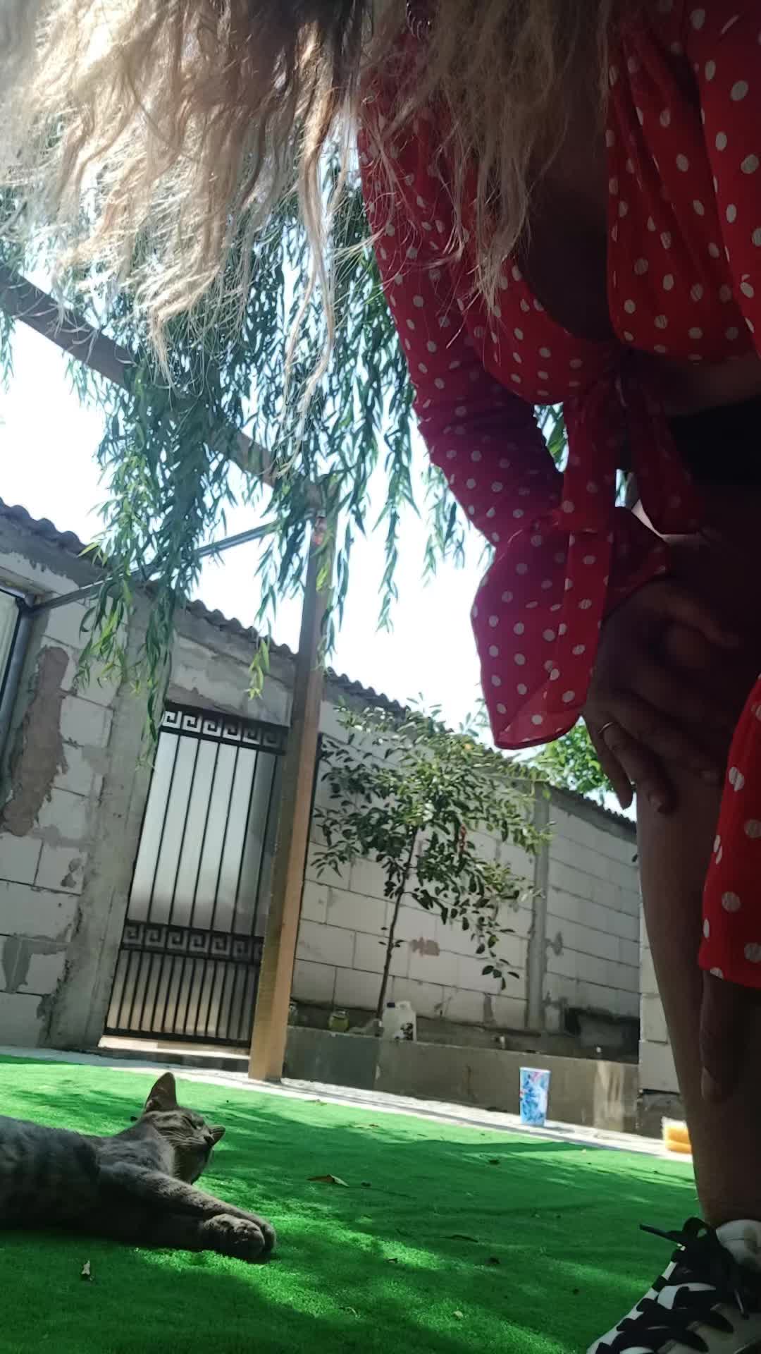 @stefania