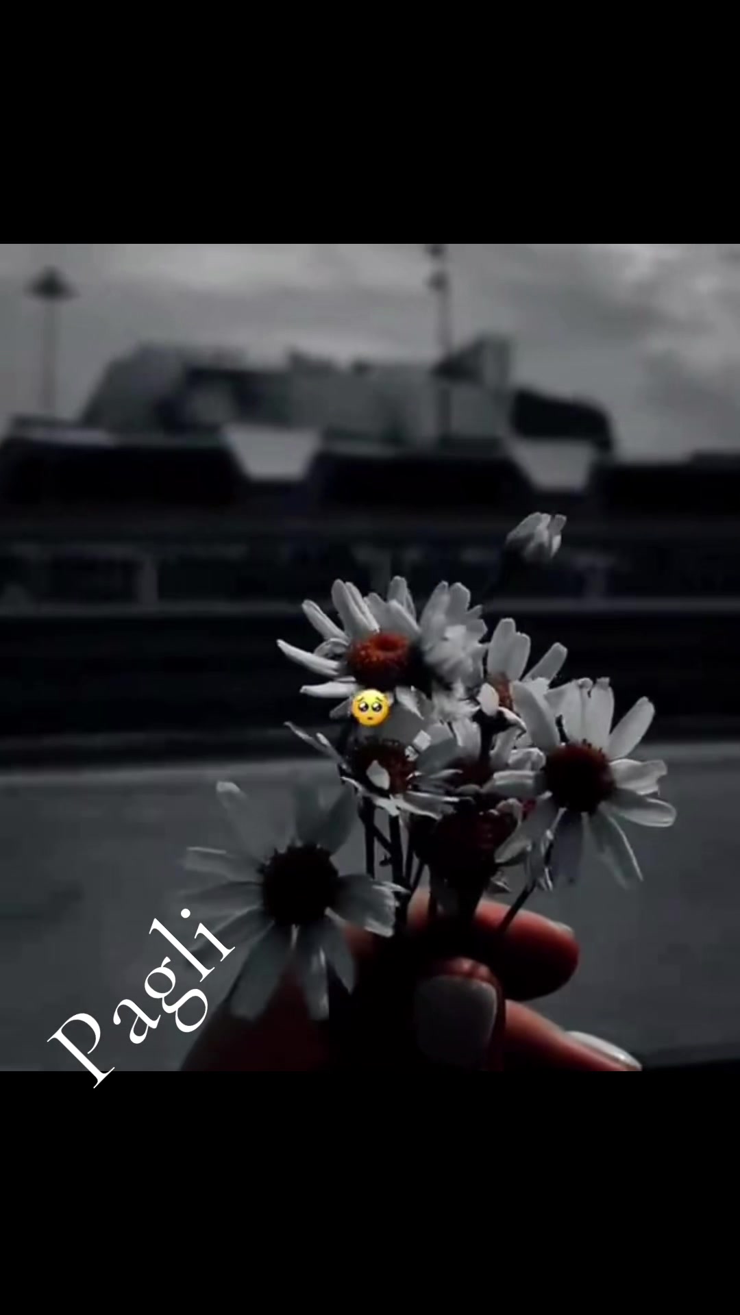 @Pagli ❤️پگلی ❤️&zwj;🩹