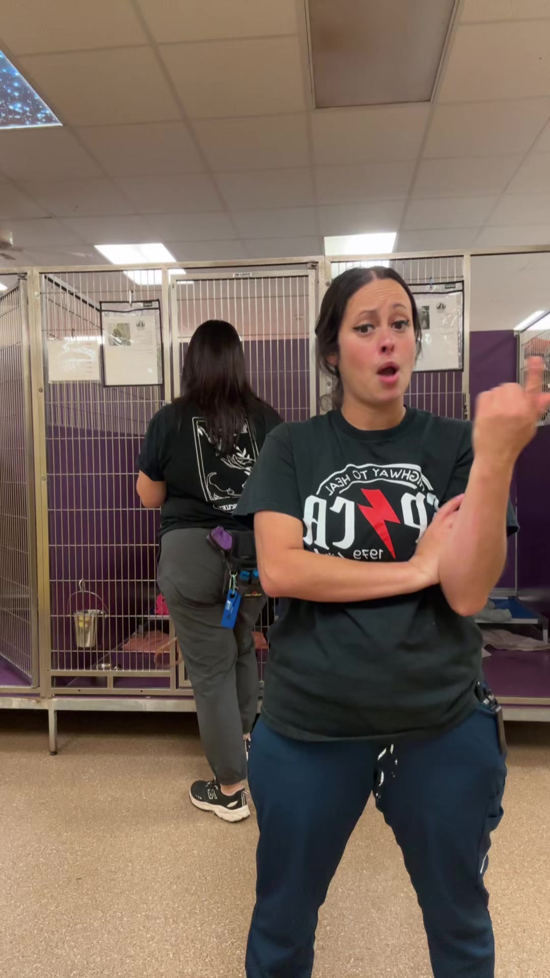 @2vettechs