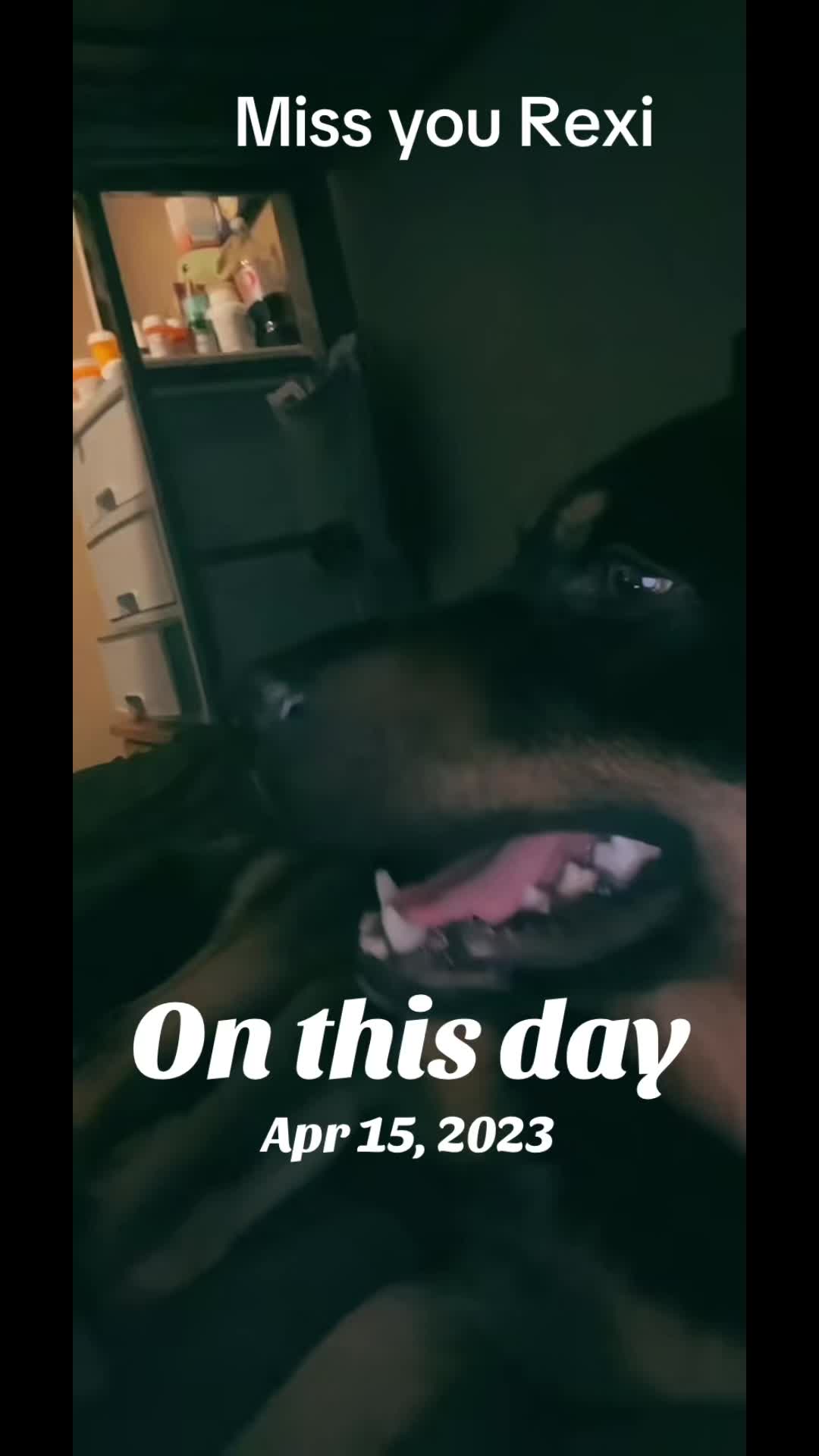 @piratechick