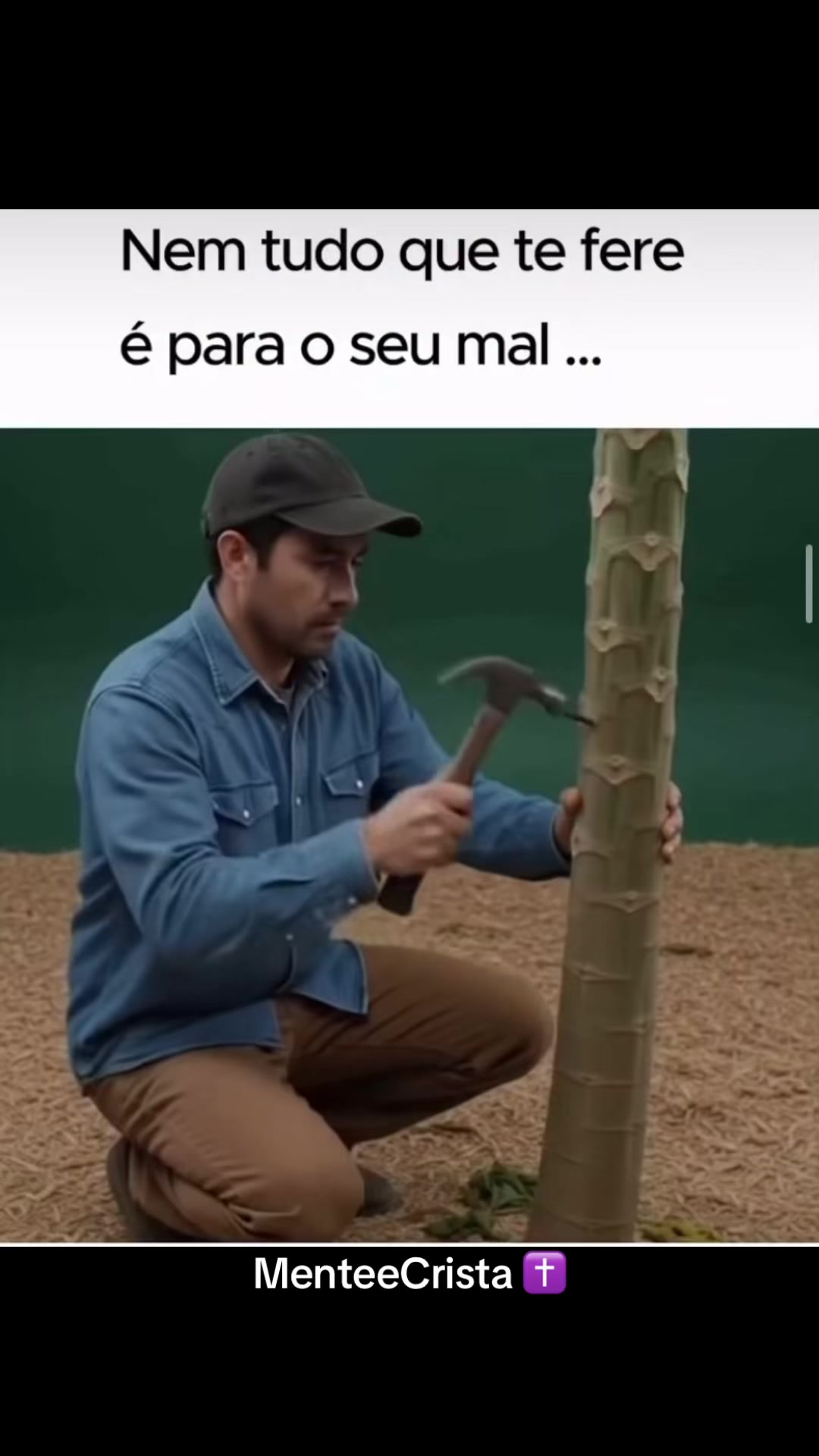 @MenteeCrist&atilde;✝️