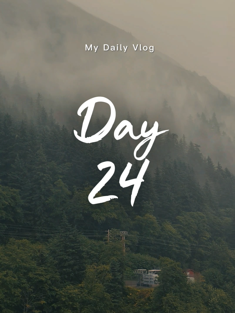 @iamsailormom
