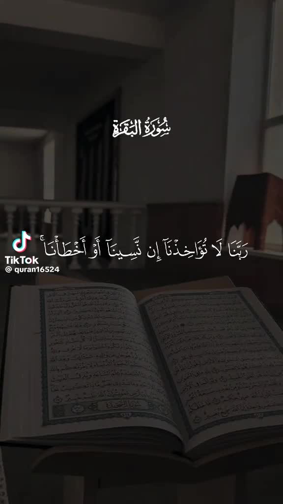 @qaimdinsultan