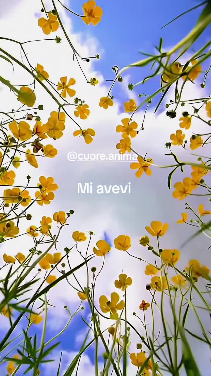 @cuore.anima