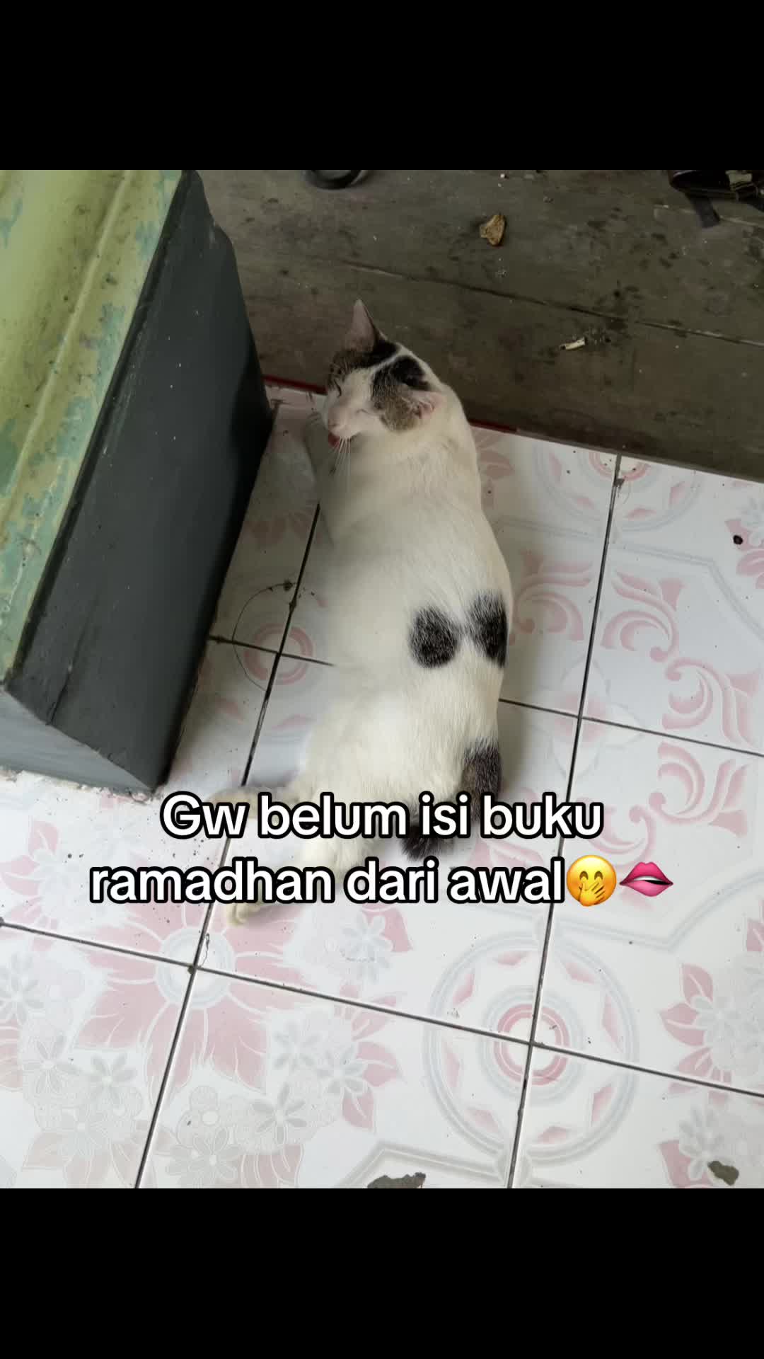 @Panndongg🐼